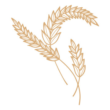 Several spikelets. Logo. Vector (5)