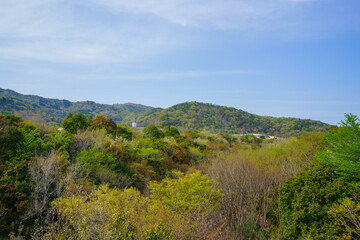 新緑(あすたむらんど徳島)徳島県板野町