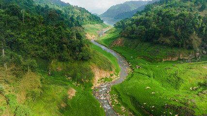 Aerial view of beautiful natural water stream  and green field of grass in the wild forest mountain concept traveling and relaxing on holiday time.
