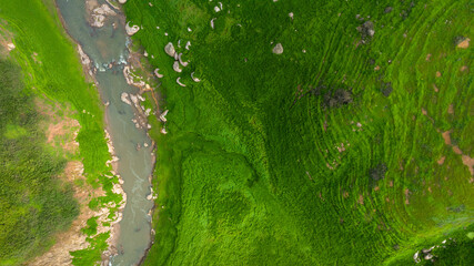 Aerial view of beautiful natural water stream  and green field of grass in the wild forest mountain concept traveling and relaxing on holiday time.