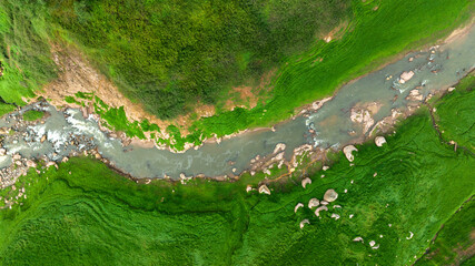 Aerial view of beautiful natural water stream  and green field of grass in the wild forest mountain concept traveling and relaxing on holiday time.