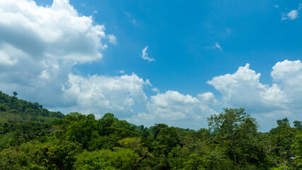 Aerial view of beautiful natural green field of forest in the wild forest mountain ,Clean Air natural fresh Air concept on blue sky fluffy cloud