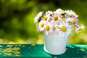 Flower composition. White-pink flowers in a bucket on an old table on a green blurred abstract natural background in the sun. Selective focus. Place for text. Copy space. Selective focus.