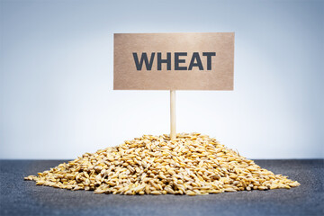 Pile of wheat grain and board sign with WHEAT word. Supply food concept.