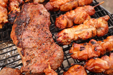 Steak and chicken kebabs braai. South African braai or barbecue