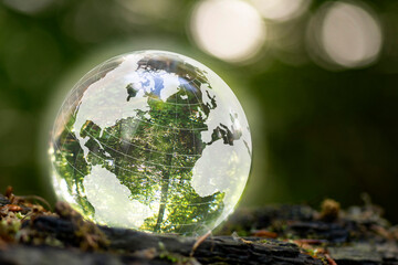 Globe showed in a crystal ball with nature inside and outside