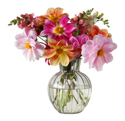 dahlias and snapdragons isolated on a white.