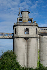 Edificios abandonados de fábricas con enredaderas.