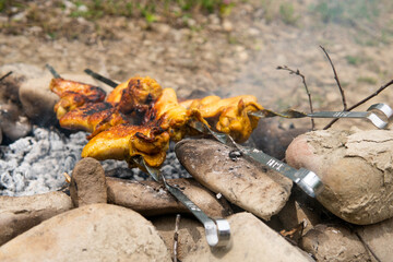 fried chicken wings on fire