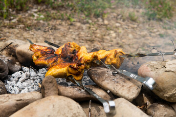 fried chicken wings on fire