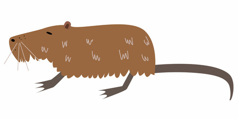 Vector illustration of nutria in a flat style isolated on a white background.