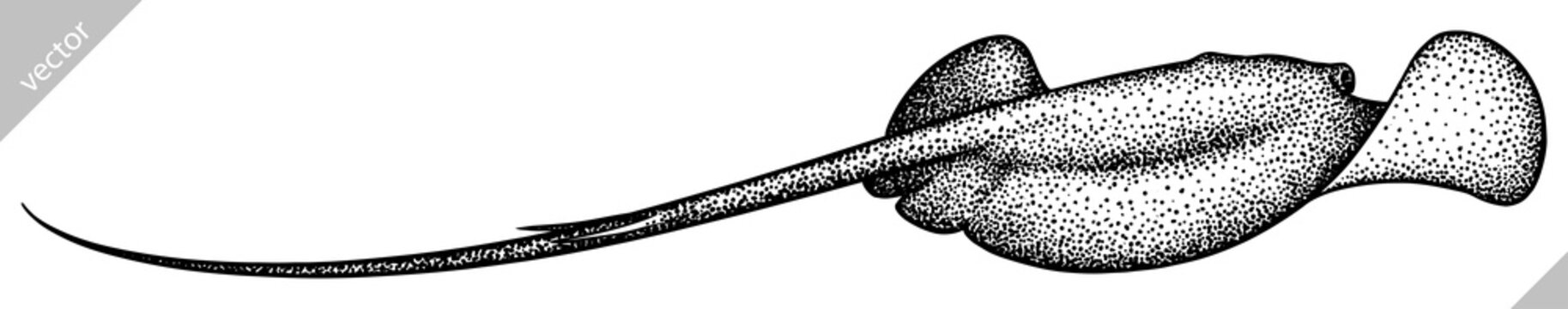 recommend clip art: black and white engrave isolated stingray vector illustration