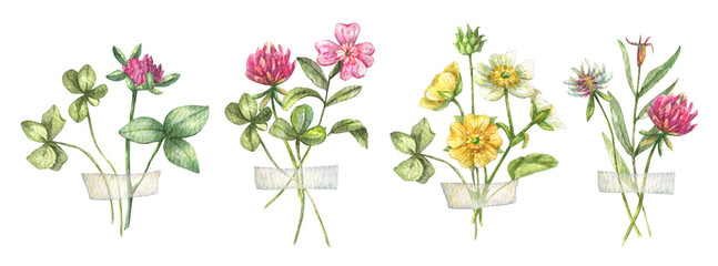 A large watercolor set of wild flowers collected in bouquets. Clover, forget-me-not and other wild flowers isolated on white background. Botanical illustration, floral set.