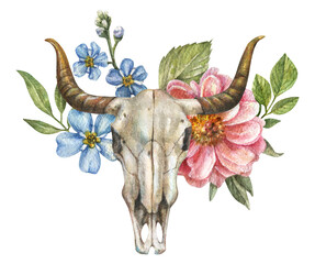 Watercolor isolated illustration of bull skull with peony flowers, roses, leaves, buds on white background