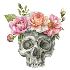 Watercolor isolated illustration of a human skull with peony flowers, roses, leaves, buds on a white background
