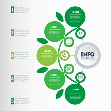 Dynamic infographics or mind map of eco technology or education process with 5 steps. Template of a chart, mind map or diagram. Infographic or Agro Business presentation with 5 options.