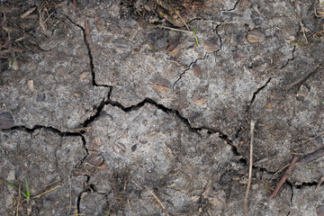 Closeup of dry ground with cracks