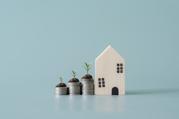 Wooden house with plant growing step by step as money or interest 