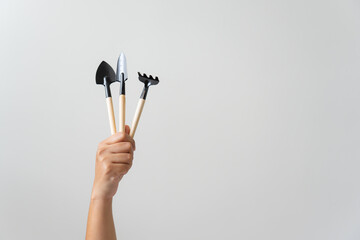 Woman hands holding gardening tools on light background. Simplicity concept of gardening at home.