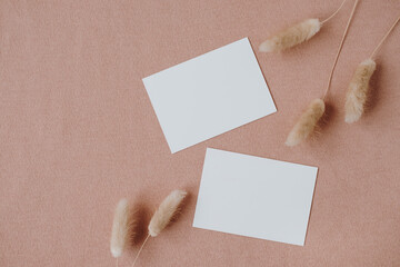 Blank paper invitation cards with copy space, bunny tail grass on neutral pastel elegant coral...