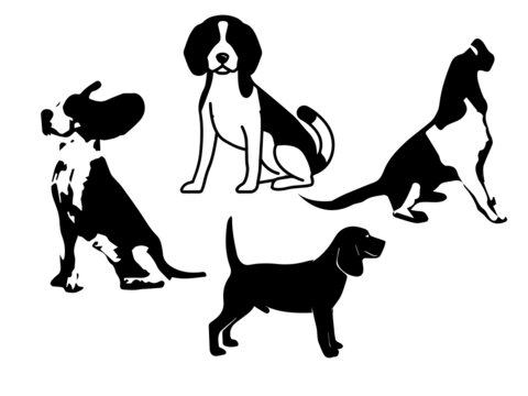 beagle High quality silhouette Royalty Free Vector Image