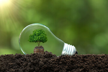 Energy-saving lamp, including a small tree growing on a pile of money in an energy-saving lamp and...