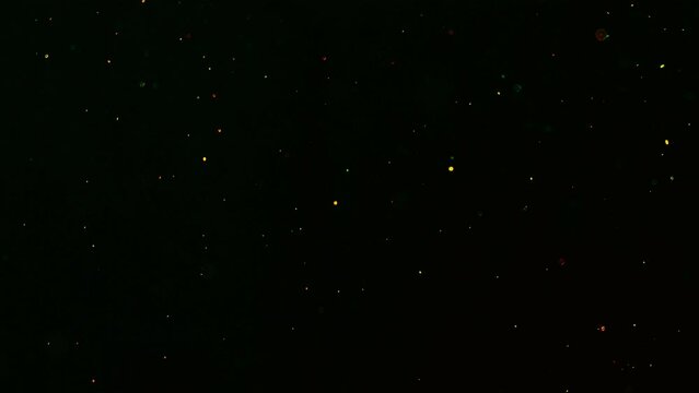 Abstract red particles fly and whirl driven by random air movements on dark background.