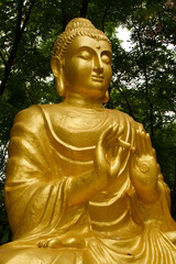 Photography of a Buddha in a temple in the Northeastern region