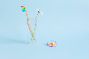An ecological wooden toothbrush, a glass with clean, clear water and a white daisy on a blue background. And an empty space for advertising dentistry.