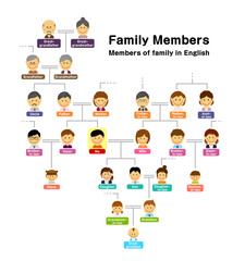 Family tree ( members of family ) vector illustration