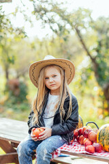 portrait of girl eating red organic apple outdoor. Harvest Concept. Child picking apples on farm in autumn. Children and Ecology. Healthy nutrition Garden Food. Girl in cowboy hat