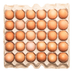 Egg carton in storing package on white background.