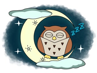 night