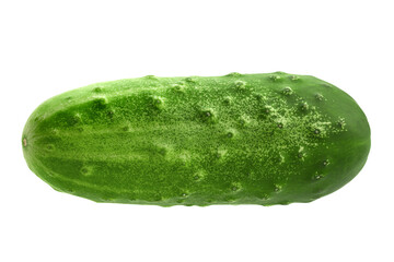 cucumber vegetable closeup on white