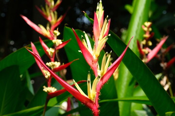 A morning life in a city park