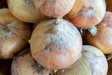 onions on a wooden table