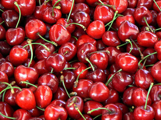 Tasty cherries from the market 