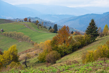 Cloudy and foggy day autumn mountains scene. Peaceful picturesque traveling, seasonal, nature and countryside beauty concept scene. Carpathian Mountains, Ukraine.