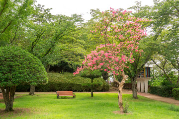 삼천포공원 산책길