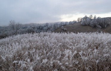 Winter coming. Cloudy and foggy morning very late autumn mountains scene. Peaceful picturesque traveling, seasonal, nature and countryside beauty concept scene. Carpathian Mountains, Ukraine.