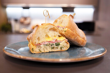 Appetizing burger  with meat and cheese on a plate