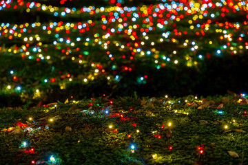 みなとみらいイルミネーション