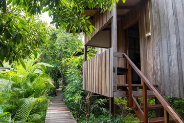Modern Thai wooden house and pavement with spring garden
