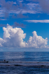 Fototapeta premium 夏の海