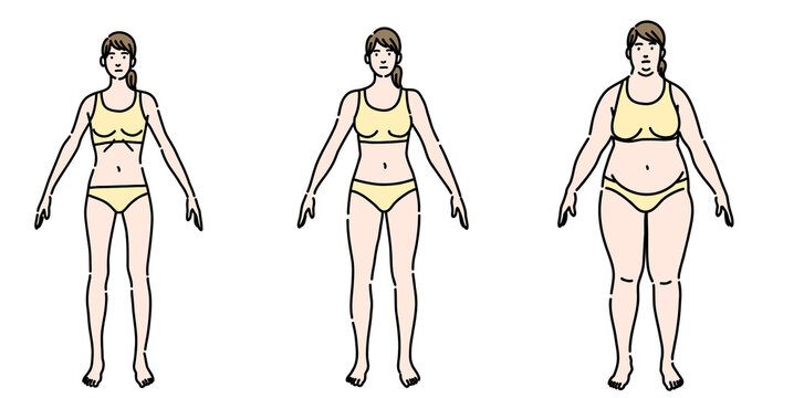 若い女性の体型のセット