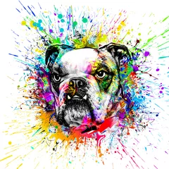 Foto auf Glas colorful artistic dog muzzle with bright paint splatters on white background. © reznik_val