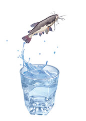 poisson chat , poisson, sauter, évasion, eau, en verre, boire, clapoter, froid, liquide, glace, isolé, blanc, boisson, bouillonner, abattre, bleu, frais, éclaboussure, clair, verser, transparent, , sa