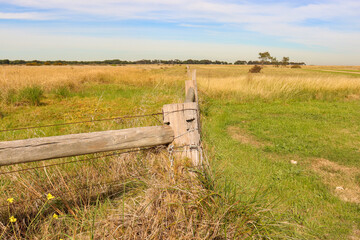 wooden fence in the field