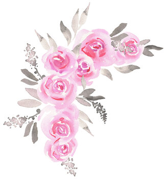 Pink roses illustration. Hand painted watercolor. High quality photo