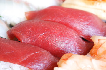 マグロの握り寿司